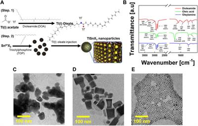 Hot-injection synthesis of lead-free pseudo-alkali metal-based perovskite (TlSnX3) nanoparticles with tunable optical properties